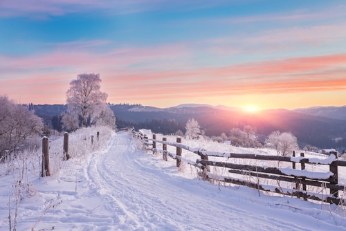 The Road Ahead featured-image